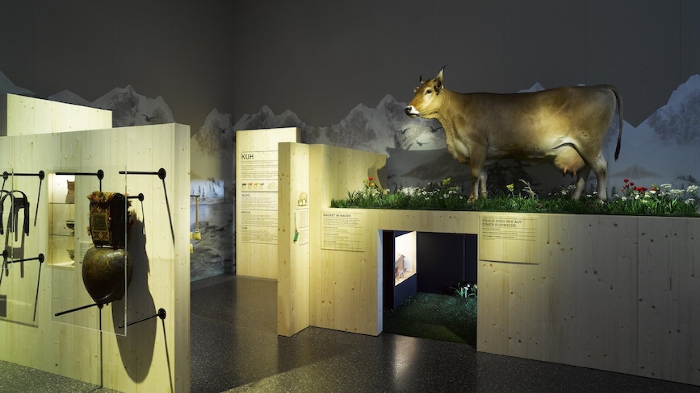 Le Musée national suisse de Zurich s'est notamment transformé en prairie pour l'expo "bestialement suisses"
