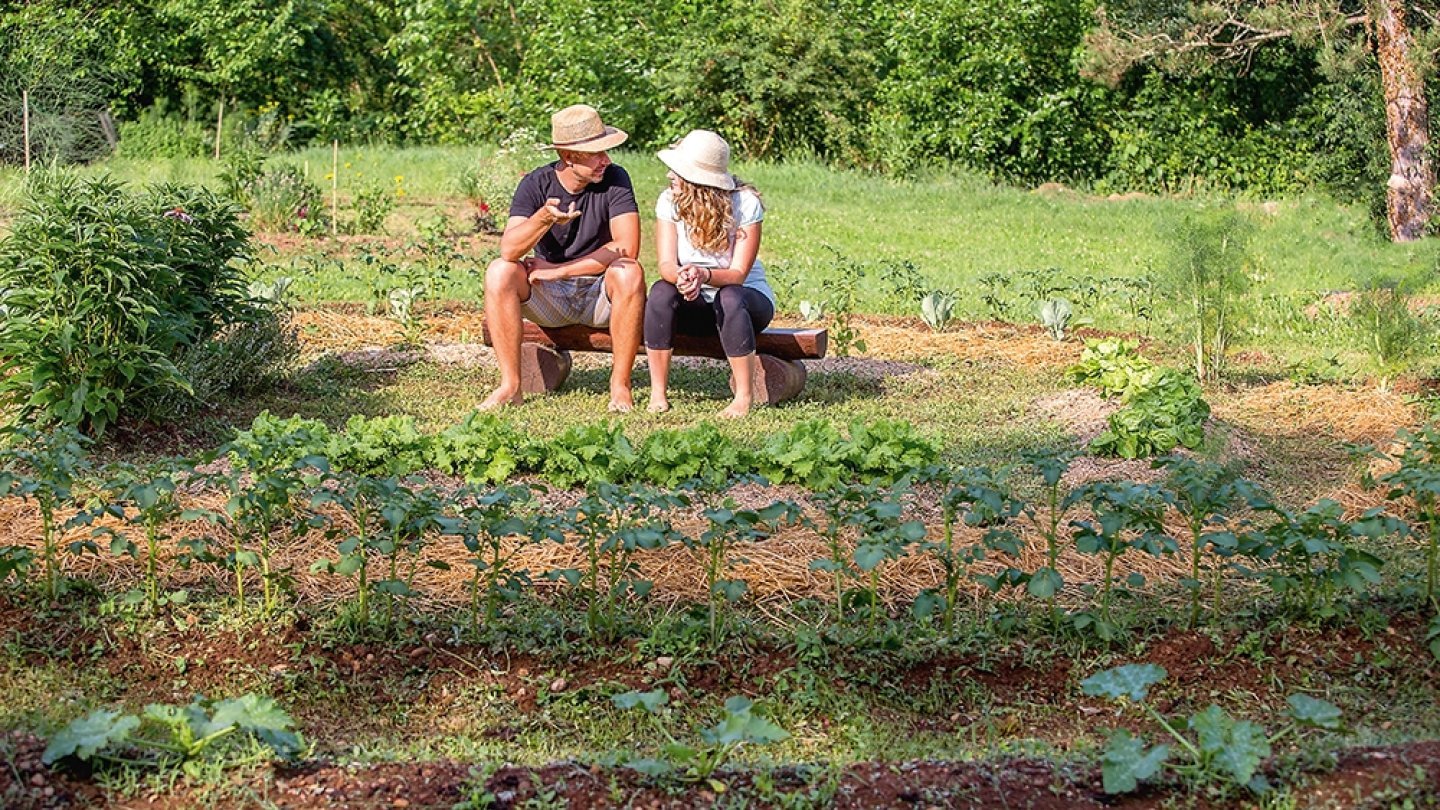 Les jardiniers ont la belle vie avec la permaculture