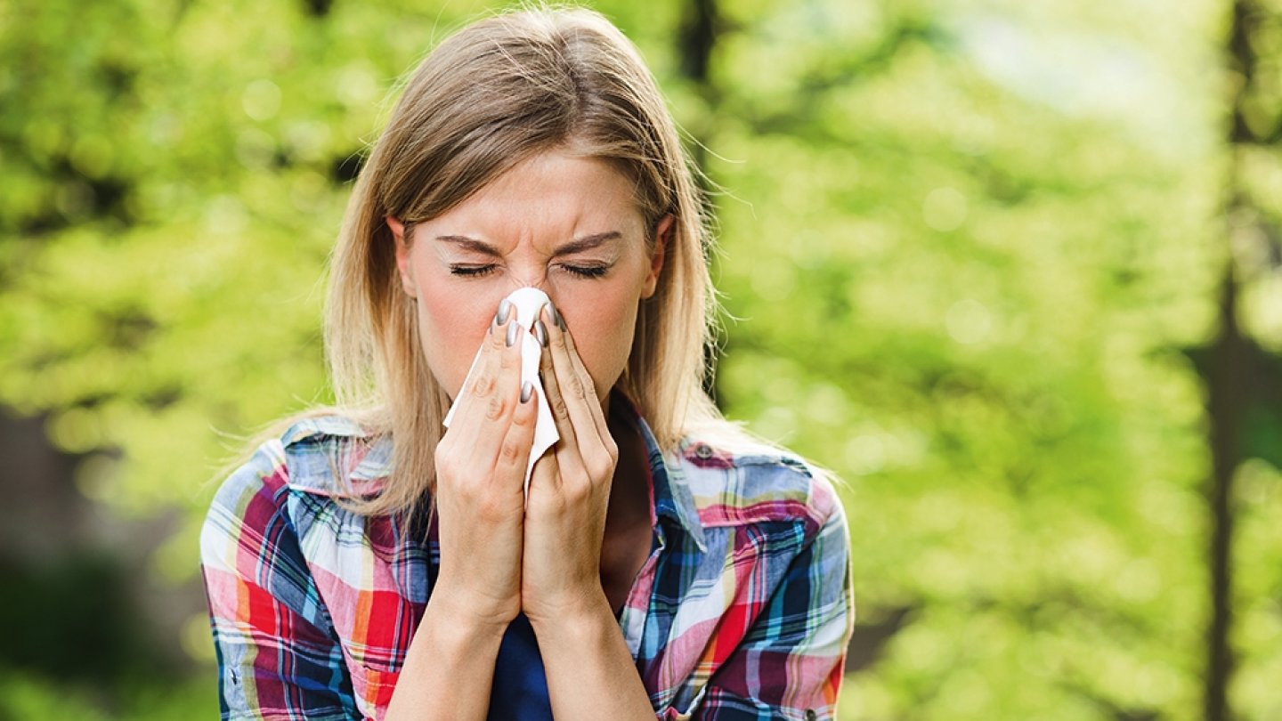 rhume des foins allergies dossier traitements médecine santé
