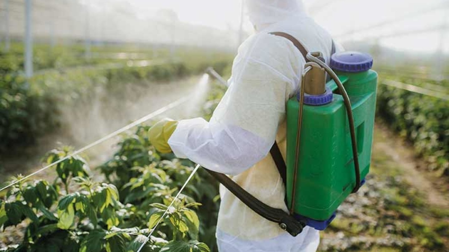 pesticides debat qualite fruits legumes agriculture environnement