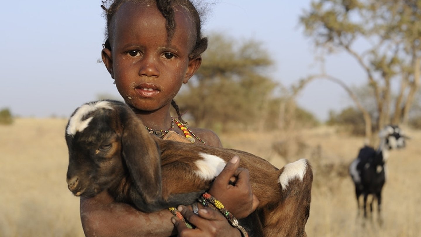 Film de Jean-Pierre Valentin sur des éleveurs nomades du Niger