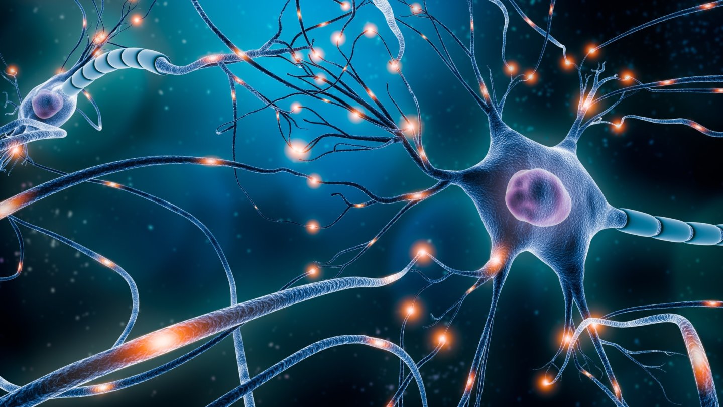 La neuralthérapie est une thérapie utilisant des aiguilles très fines à certains endroits du système nerveux.